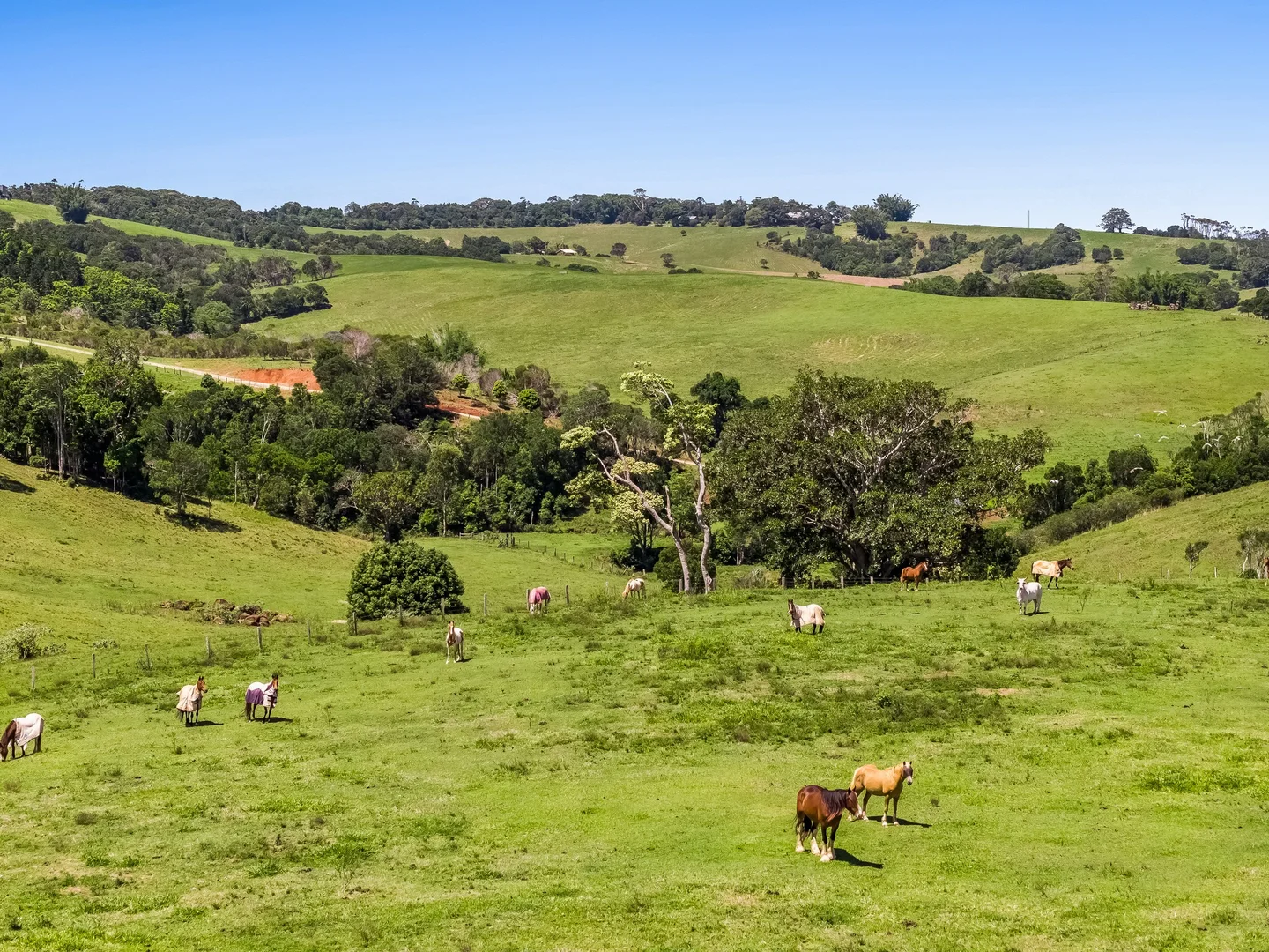 Additional image 27 of 426 Coopers Shoot Road, Coopers Shoot NSW 2479