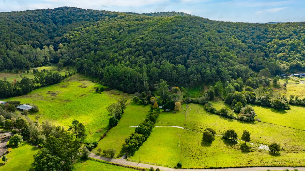 Additional image 34 of 111 Bunning Creek Road, Yarramalong NSW 2259