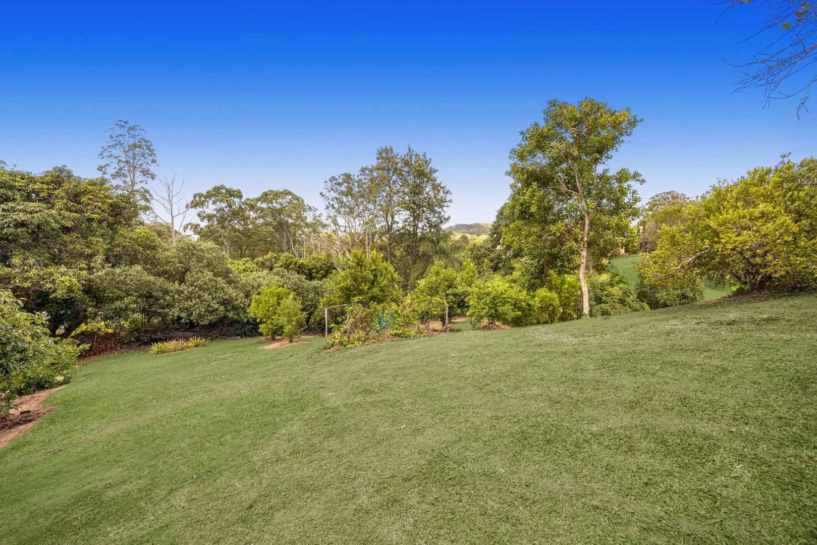 Additional image 15 of 137-139 Blackall Range Road, West Woombye QLD 4559