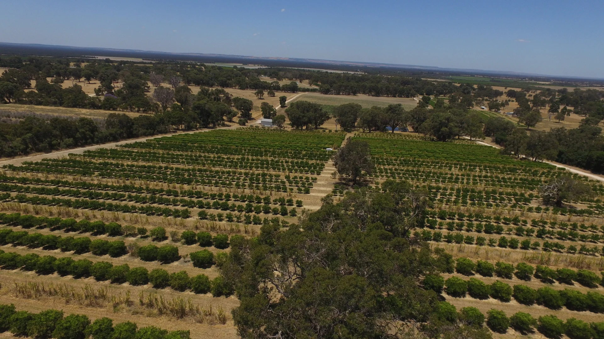 Additional image 5 of 209 Rangeview Drive, Wanerie WA 6503