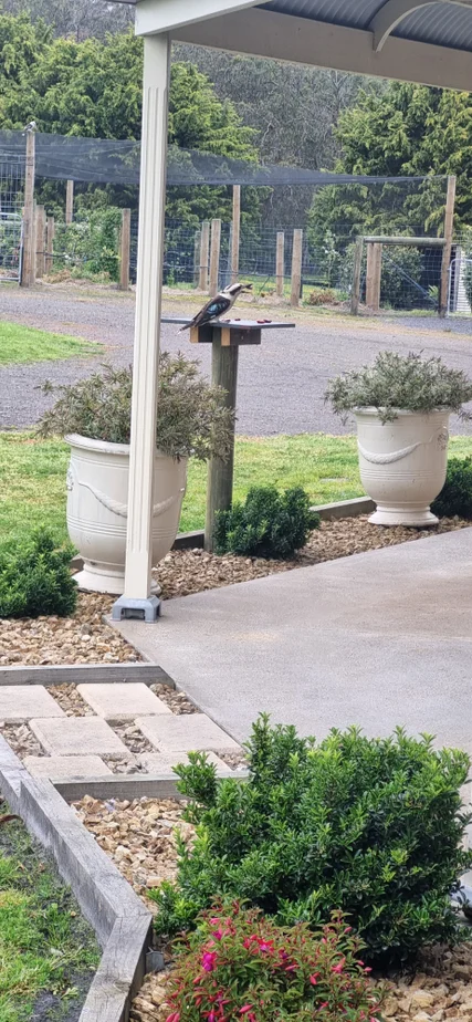 Additional image 35 of 231 Golf Course Road, Heywood VIC 3304