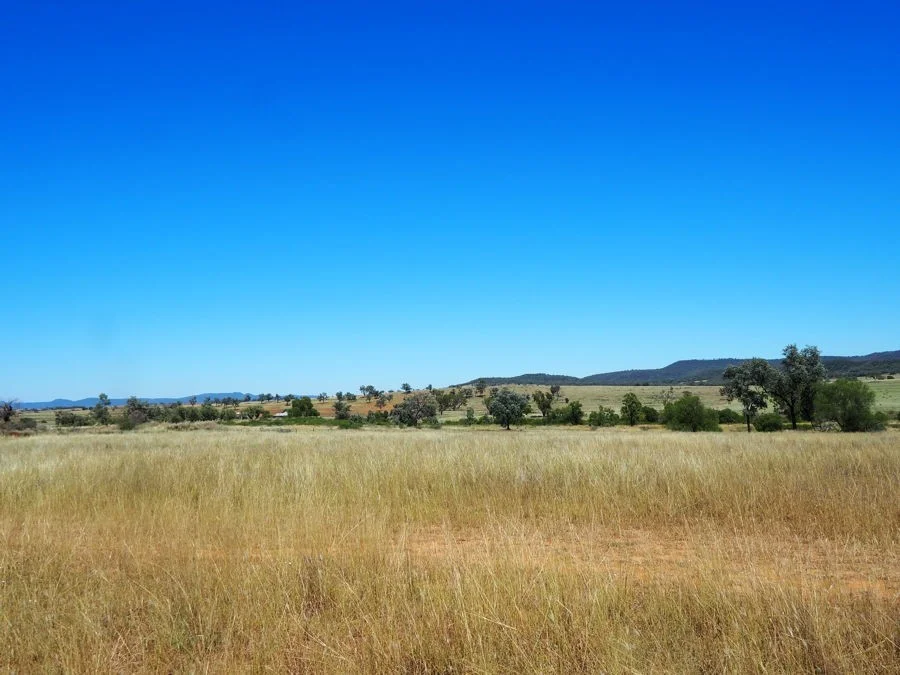 Additional image 9 of Warialda Rail NSW 2402