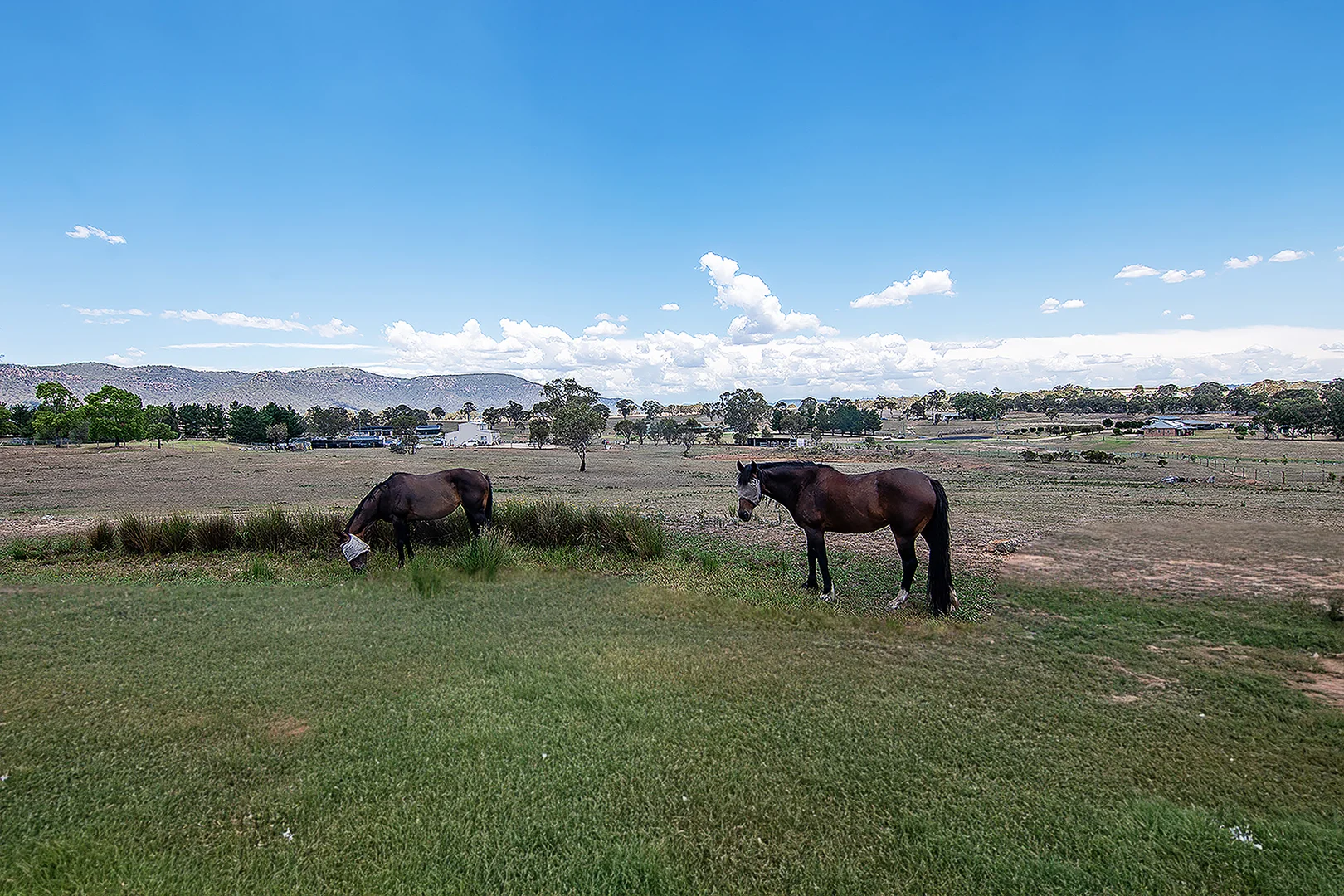 Additional image 2 of 17 Banksia Way, Rylstone NSW 2849