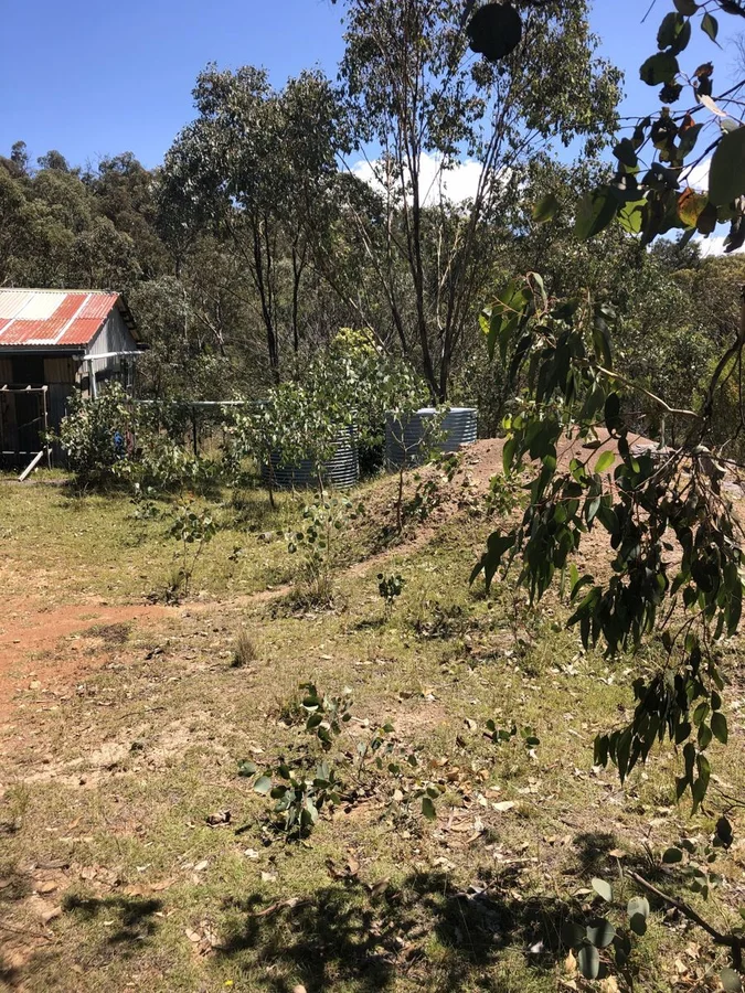 Additional image 8 of Lot 2 Clonmeen Road, Lindesay NSW 2347