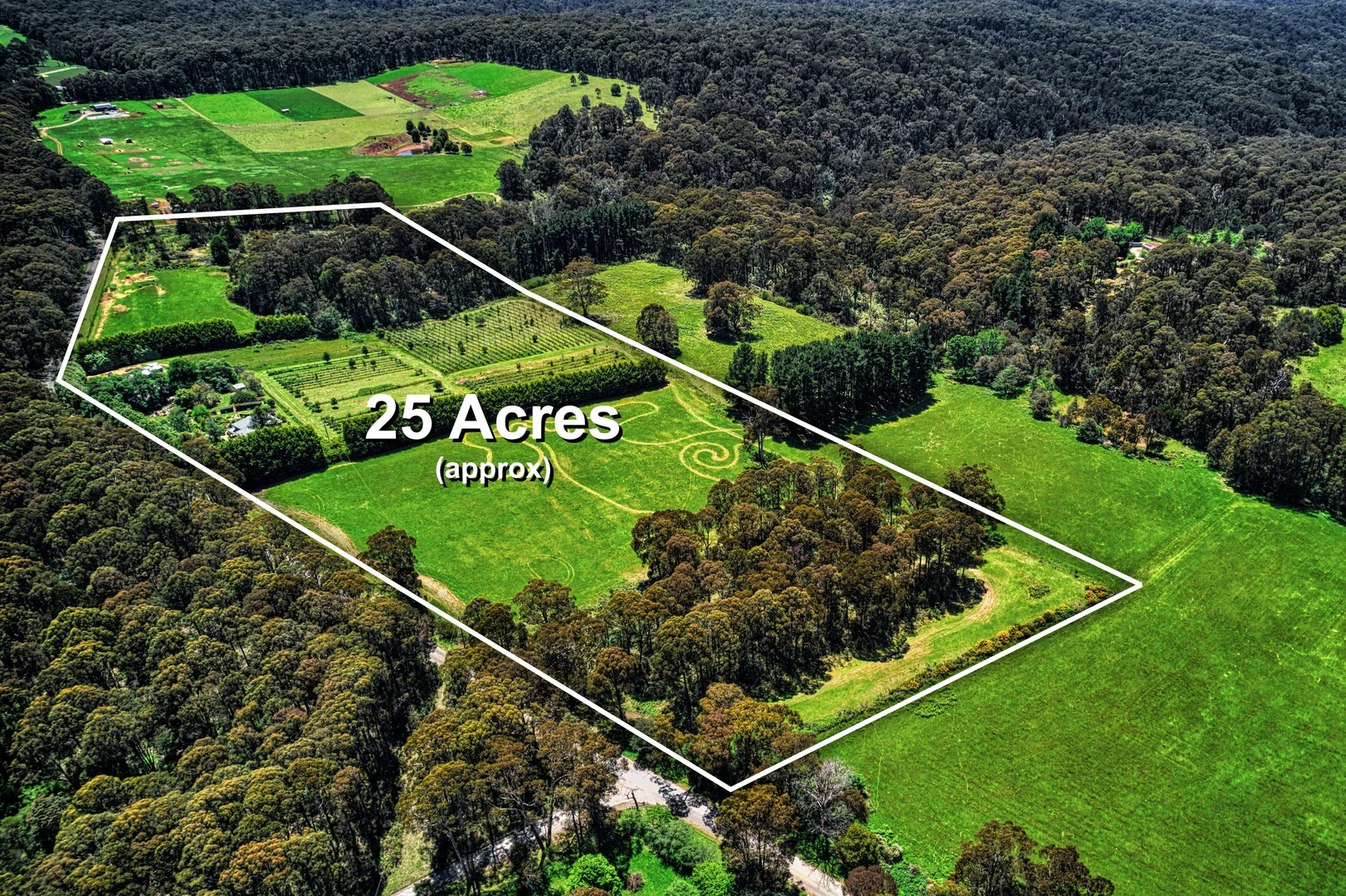 Additional image 18 of 486 Extons Road, Kinglake Central VIC 3757