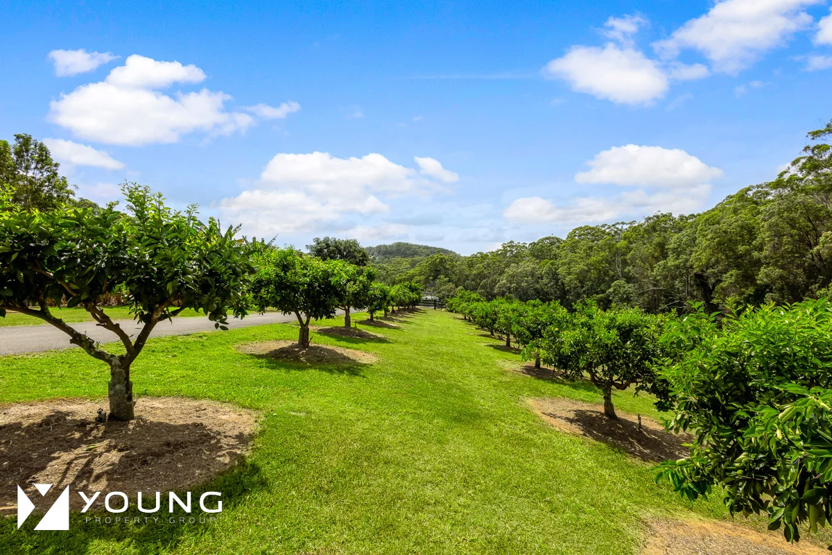 Additional image 18 of 22-40 Hamilton Road, West Woombye QLD 4559