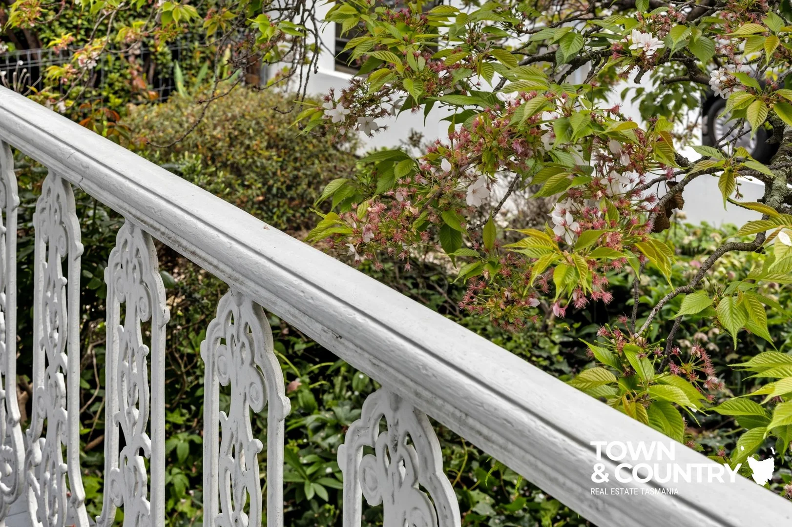 Additional image 3 of 55 Elphin Road, Launceston TAS 7250