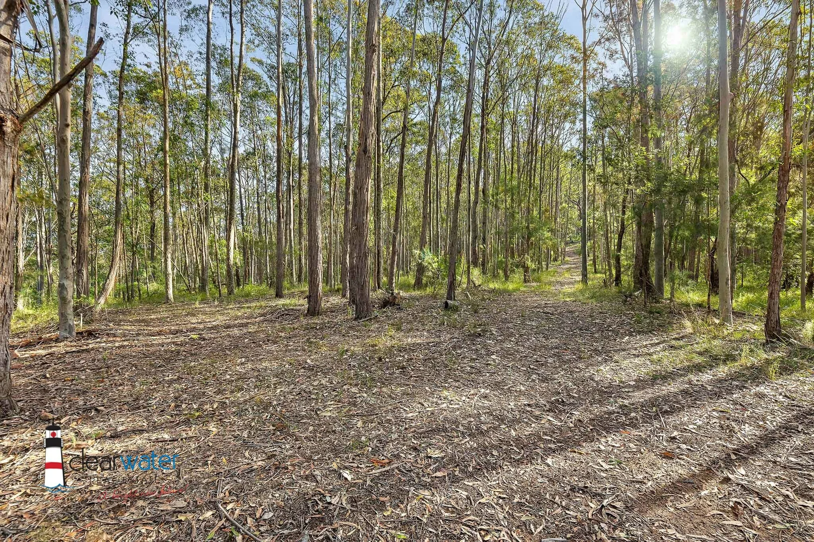 Additional image 10 of 209 Larrys Mountain Rd, Mogendoura NSW 2537