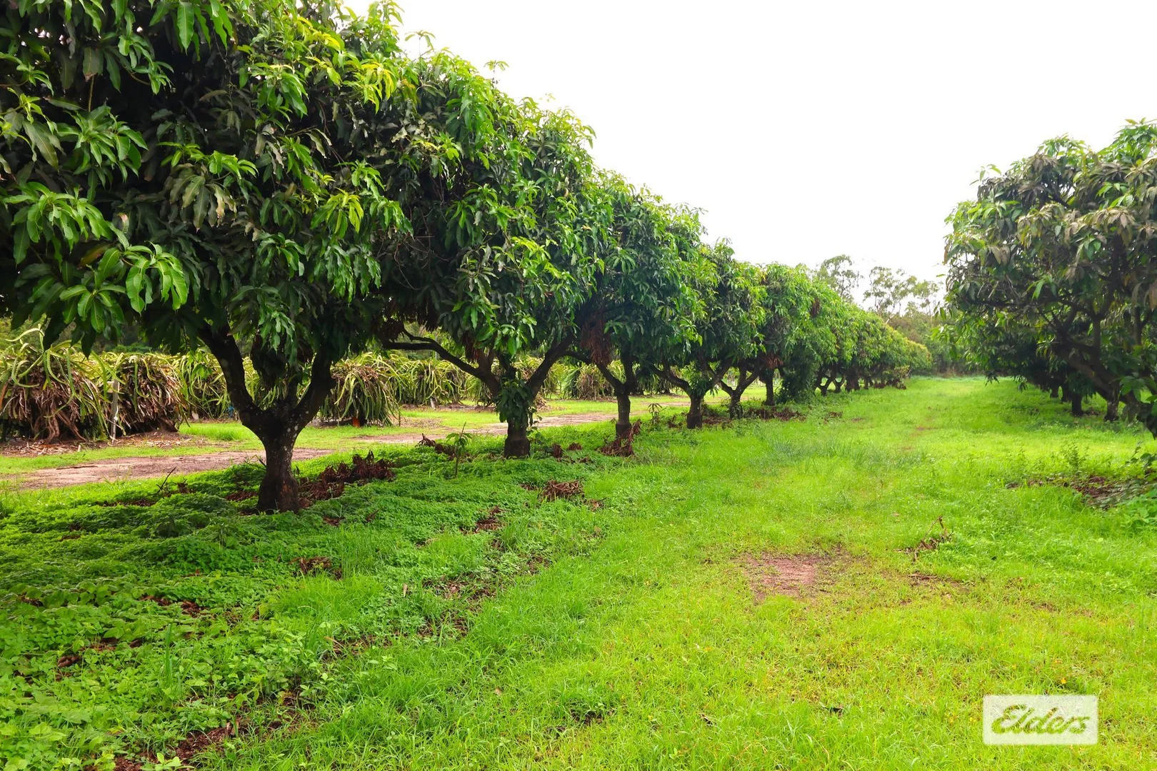 Additional image 17 of 125 Buckley Road, Lambells Lagoon NT 0822