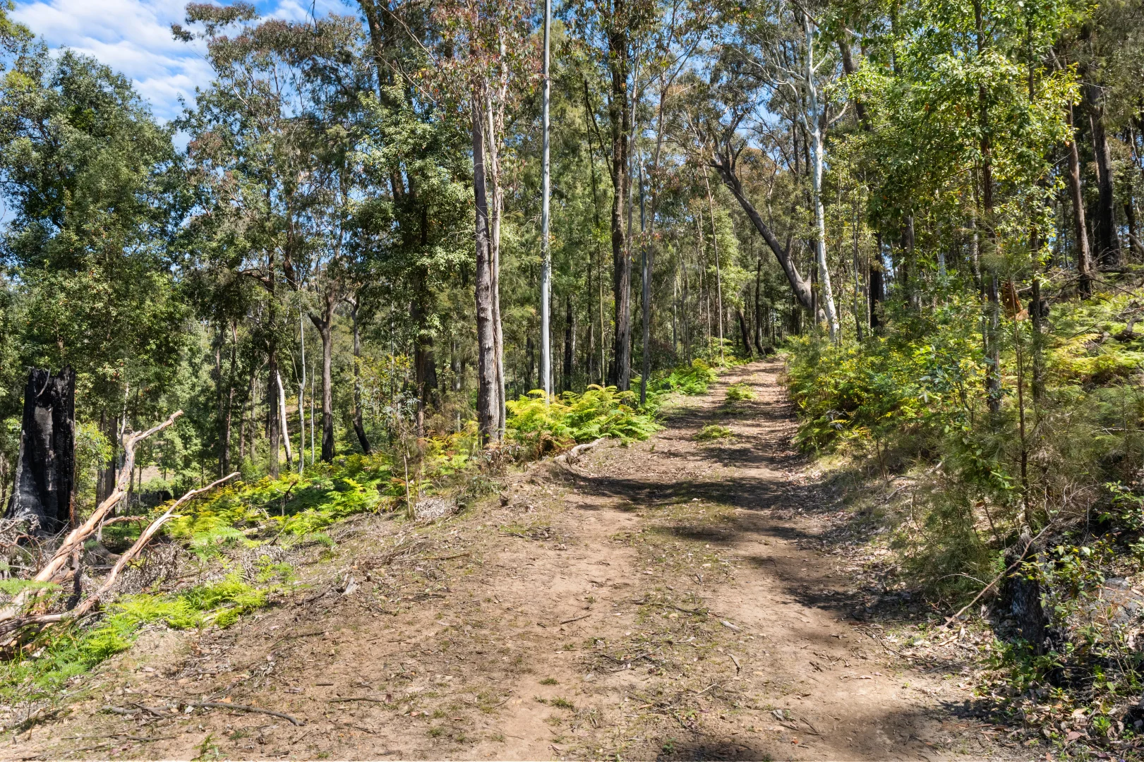 Additional image 12 of 1058 Bakers Road, Putty NSW 2330
