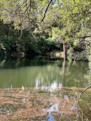 Additional image 6 of 226 Hursts Road, Lileah TAS 7330