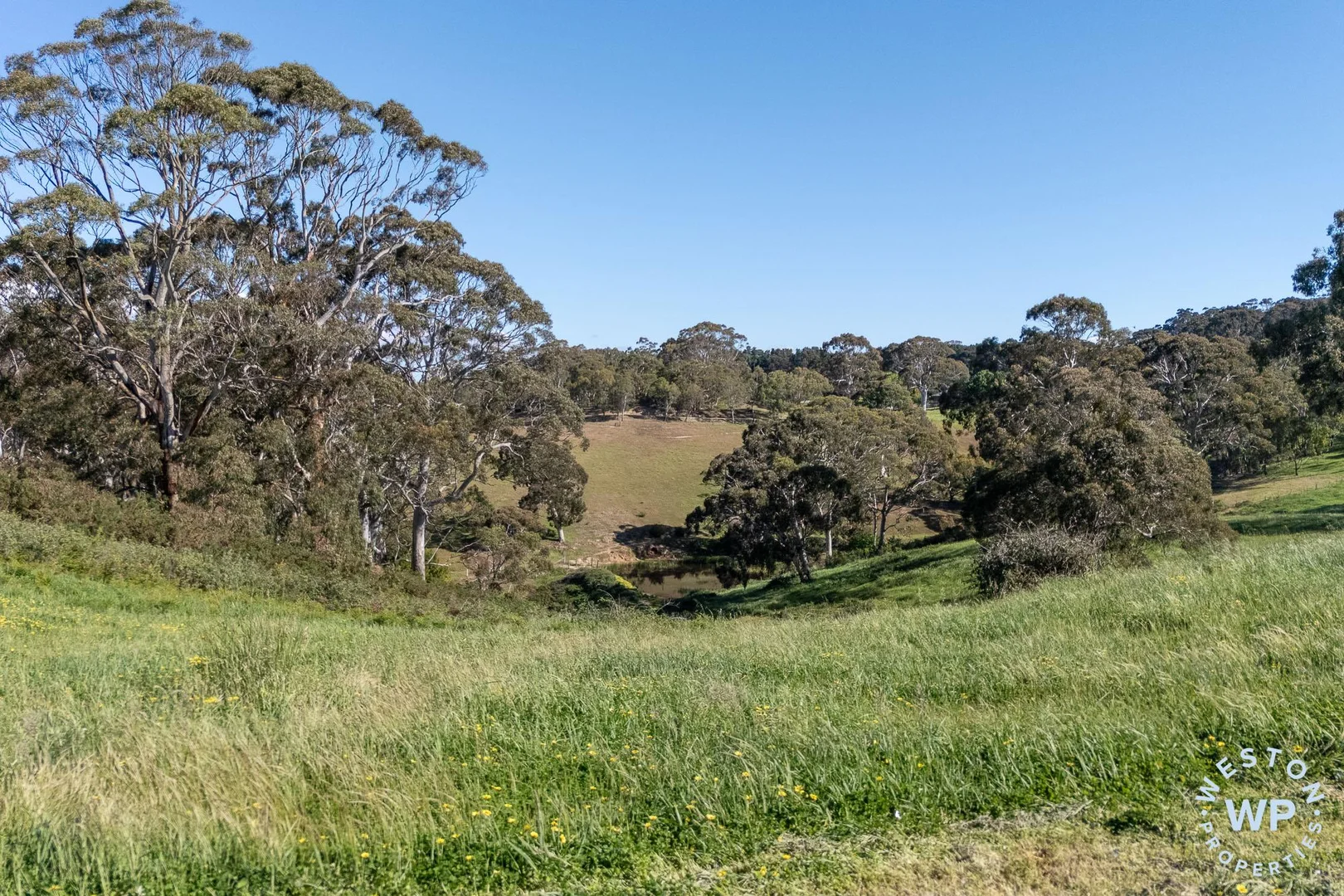 Additional image 29 of 371 Hawthorn Road, Echunga SA 5153