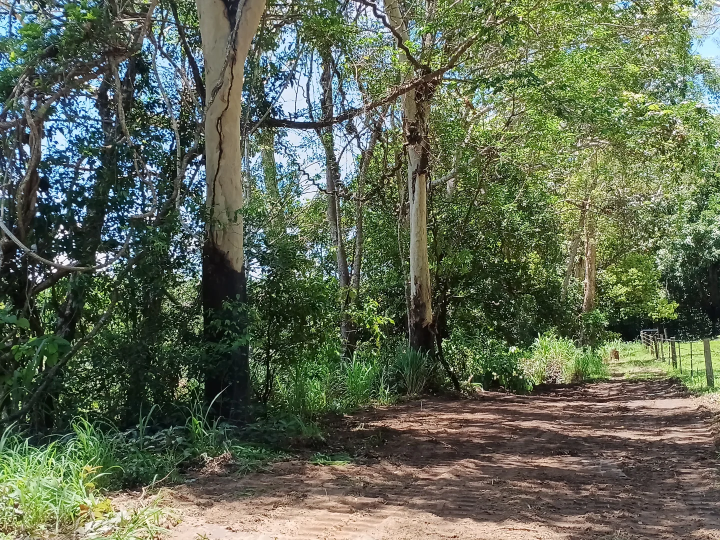 Additional image 8 of Lot 45 Jensens Crossing Rd, Cooktown QLD 4895