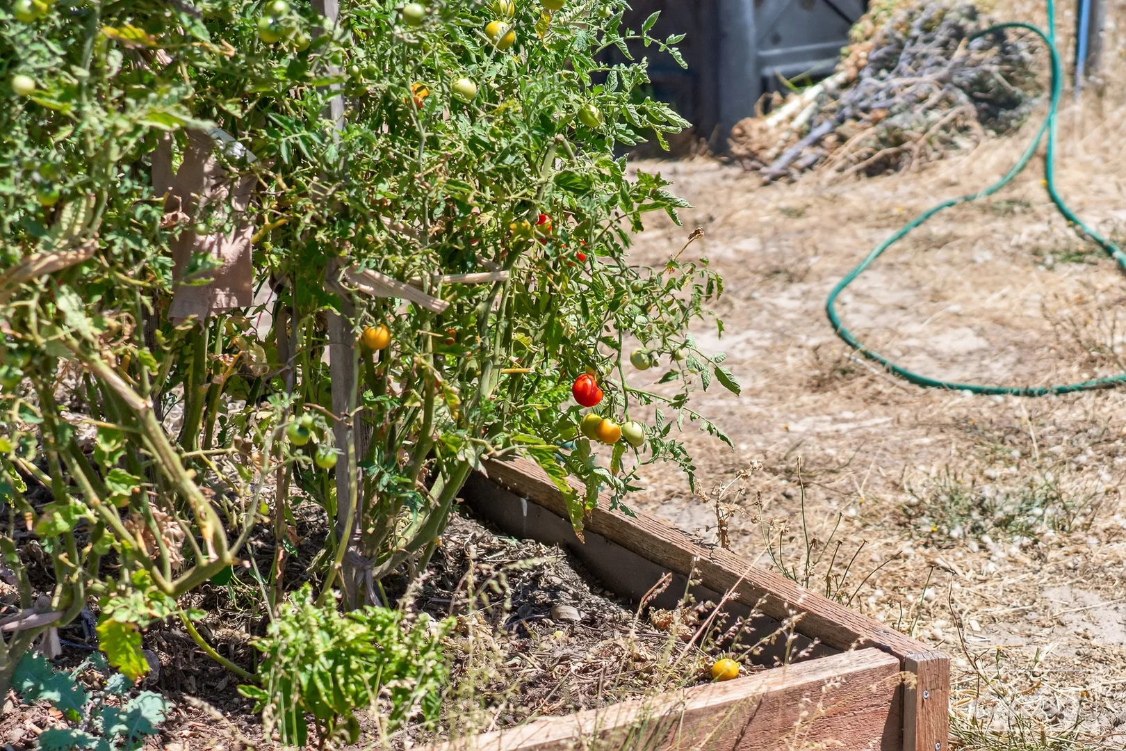 Additional image 62 of 839 Signal Flat Road, Finniss SA 5255