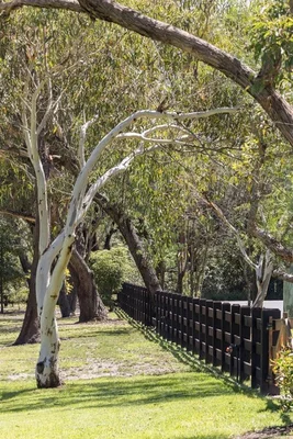 Additional image 16 of 165 Tooronga Road, Terrey Hills NSW 2084