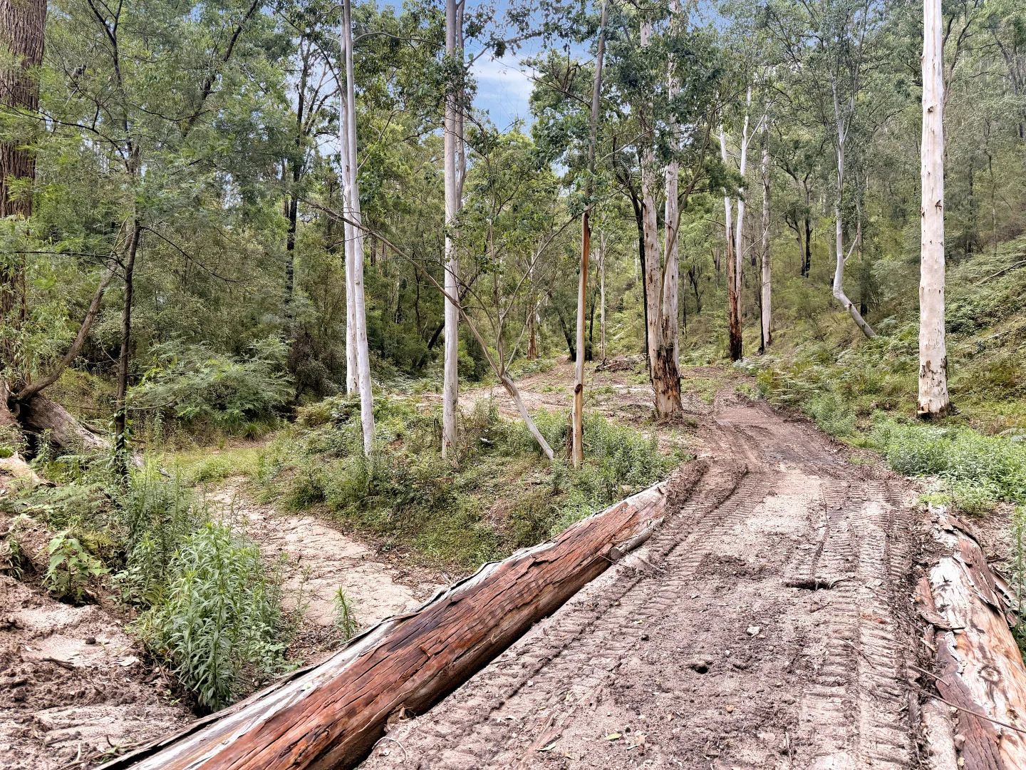 Additional image 11 of 946 Stockyard Creek Road, Paynes Crossing NSW 2325