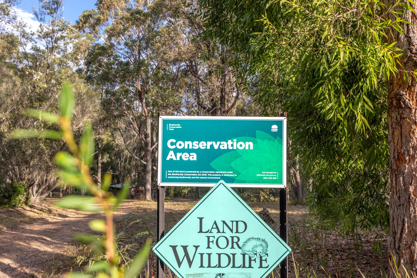 Additional image 7 of 56 Carisbrook Road, Morton NSW 2538