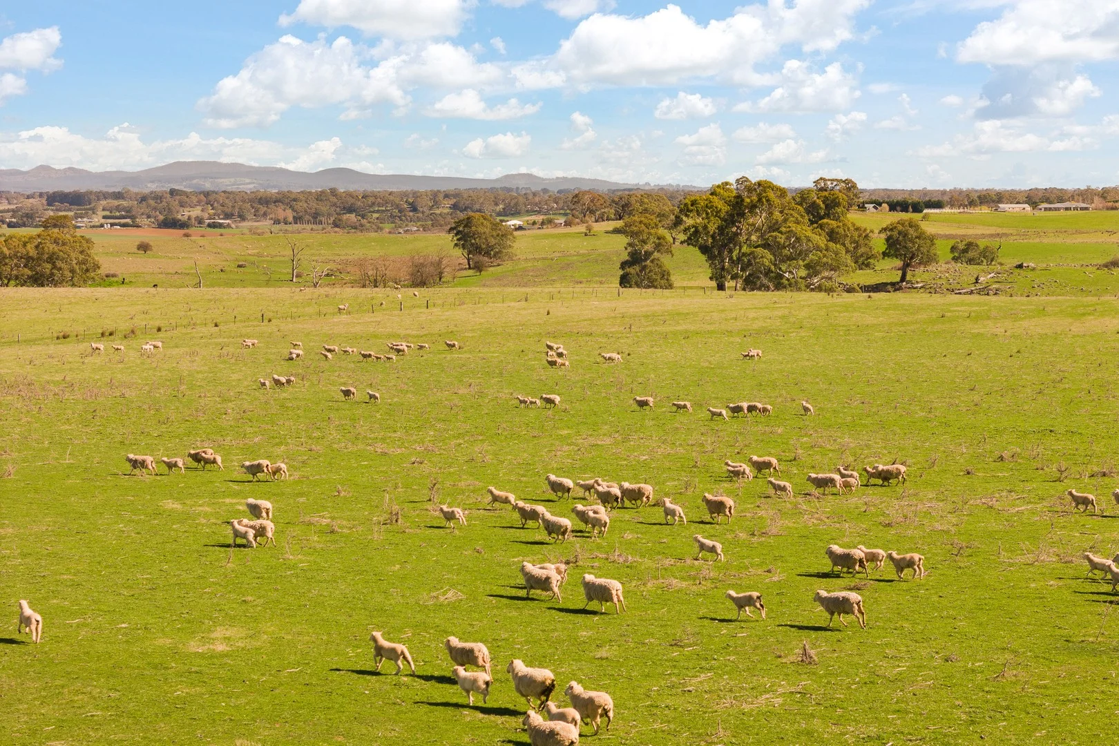 Millthorpe NSW 2798