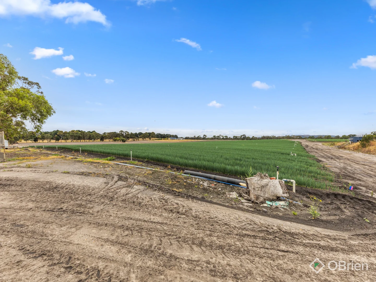 Additional image 12 of 230 Milners Road, Lang Lang East VIC 3984