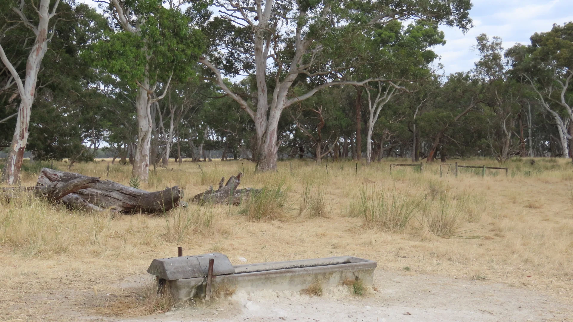 Additional image 24 of 110 Coote Rd, Moerlong SA 5278