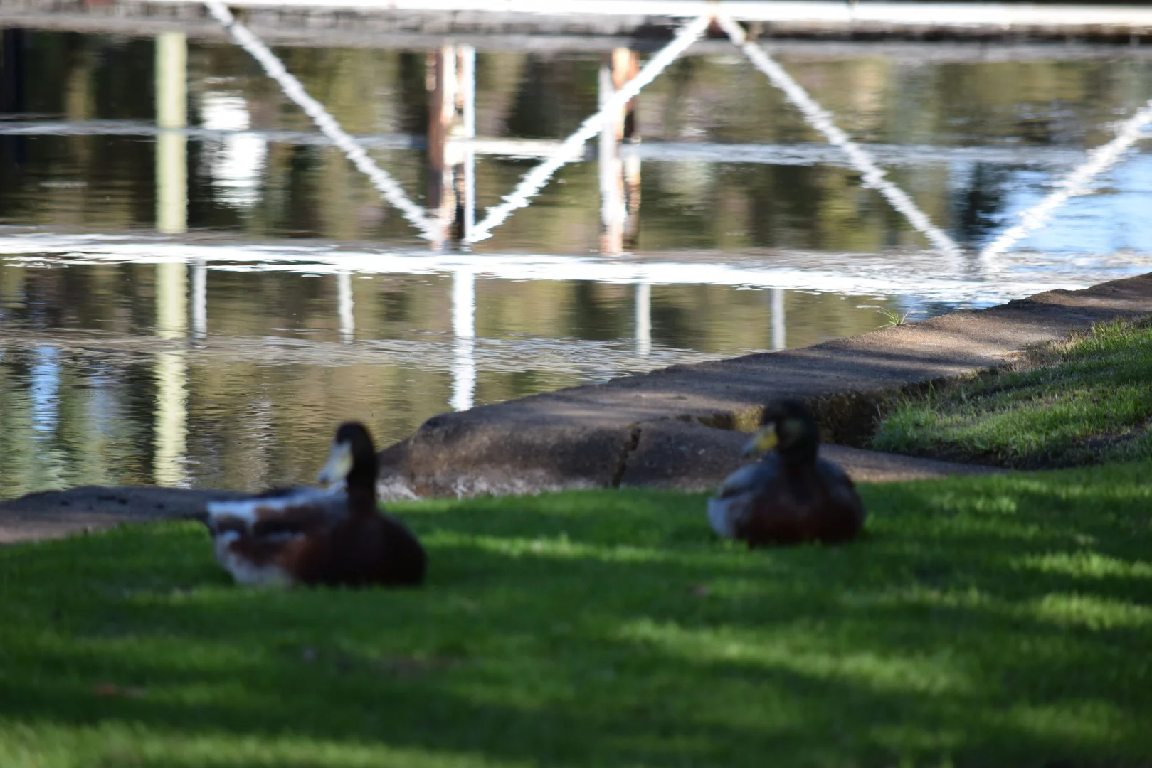 Additional image 15 of 62 Cheriton Road, Gingin WA 6503
