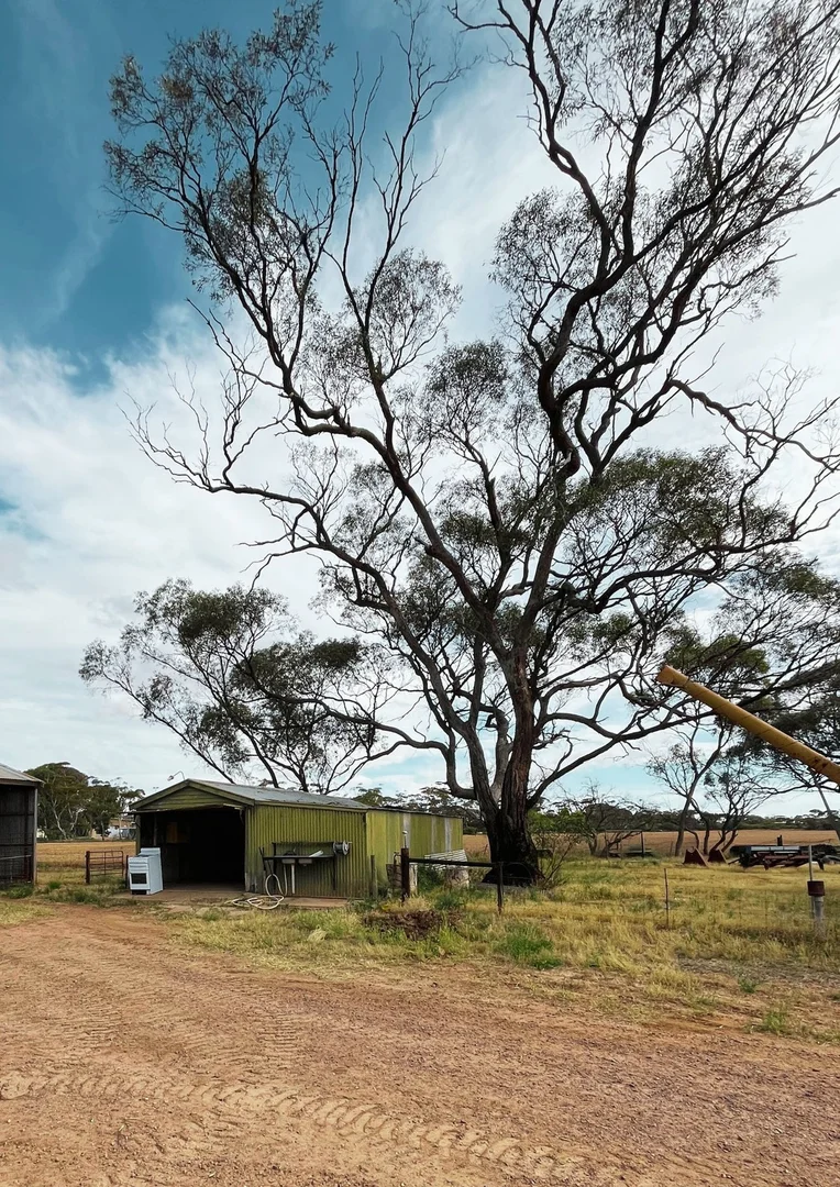 Additional image 26 of 3052 Upper Yorke Road, Bute SA 5560