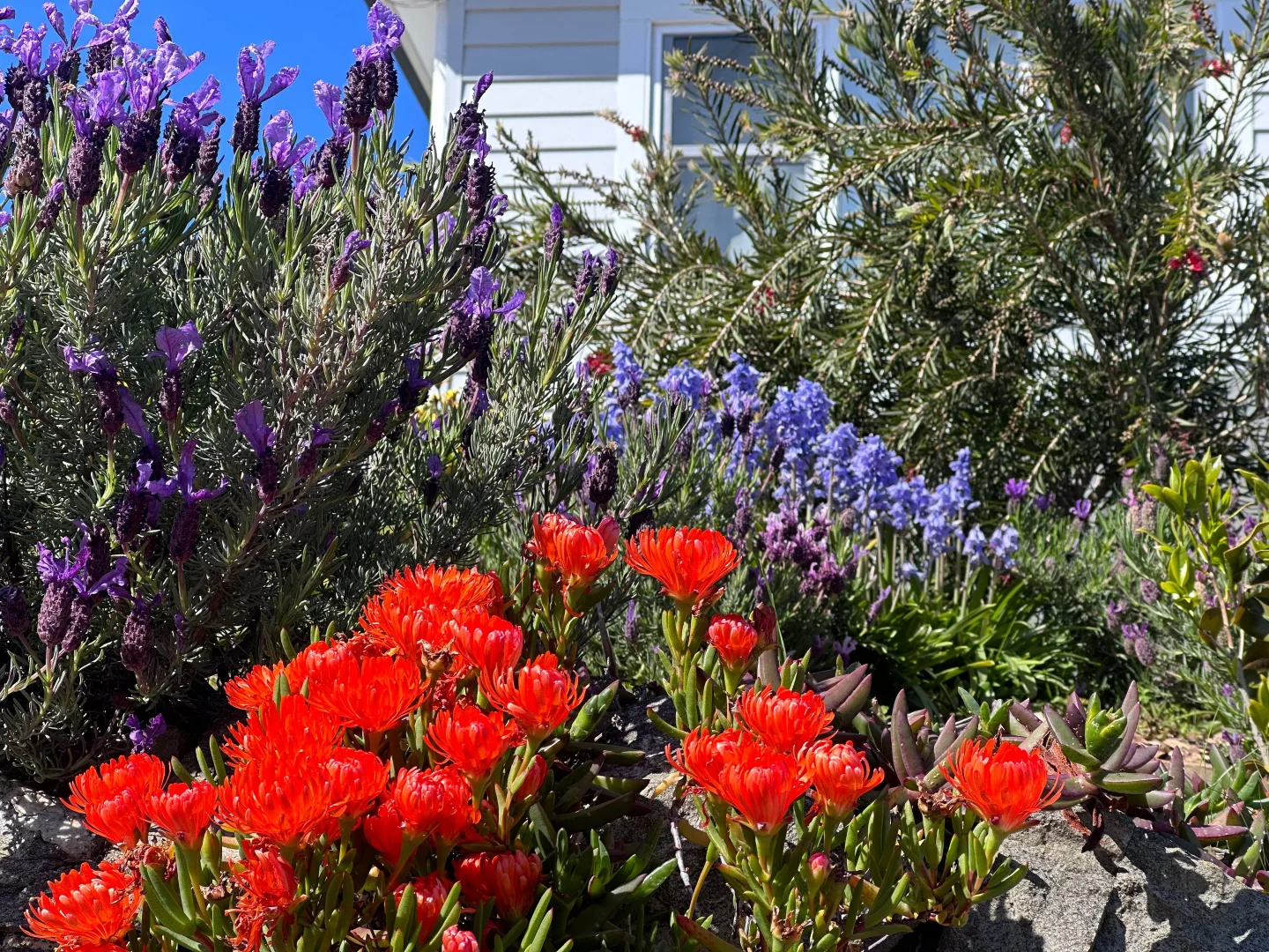 Additional image 10 of 29 Lane Street, Hillcrest TAS 7320