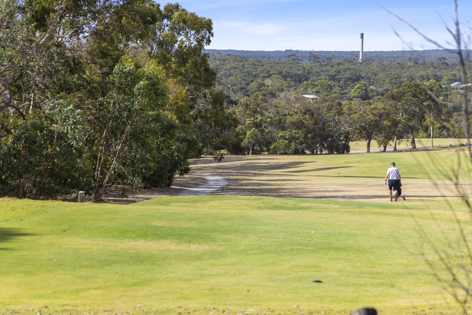 Additional image 5 of 1D McMahon Avenue, Anglesea VIC 3230