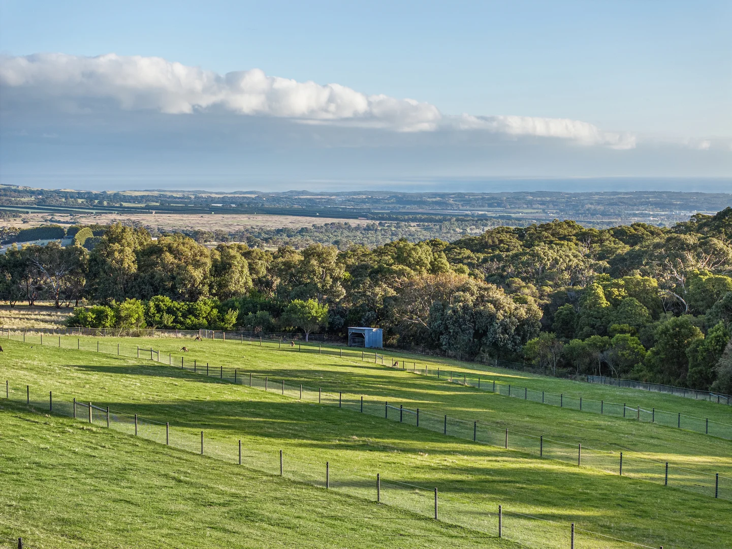 Additional image 23 of 61 Waterfall Gully Road, Main Ridge VIC 3928