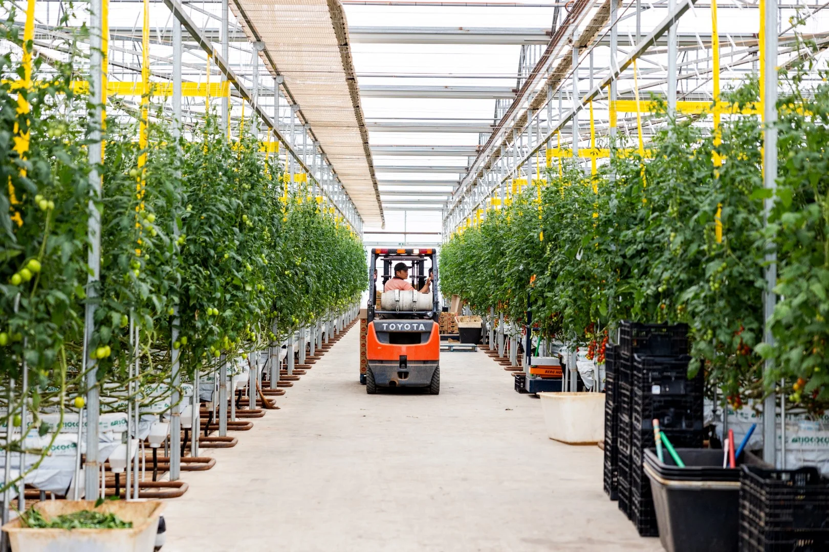 Additional image 7 of 136 Penfield Road, Virginia SA 5120