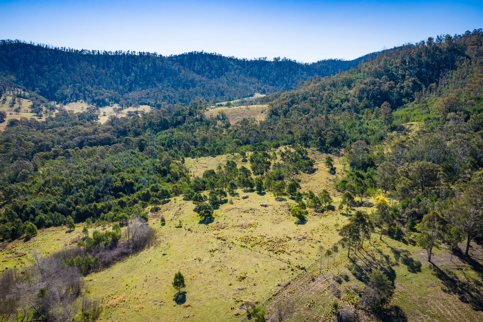 Additional image 9 of 1 DP 26381/560 New Buildings Road, Wyndham NSW 2550