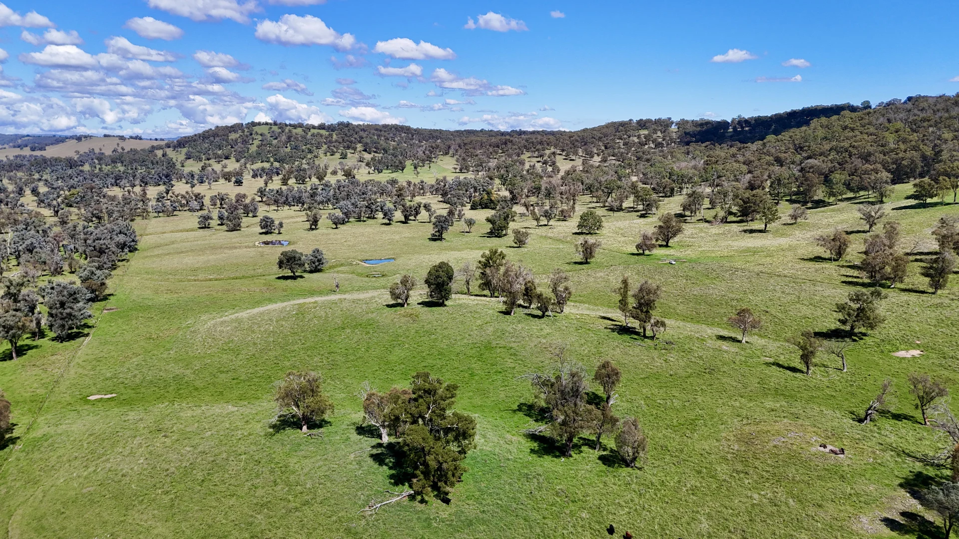 Additional image 9 of 3256 Niangala Rd, Walcha NSW 2354