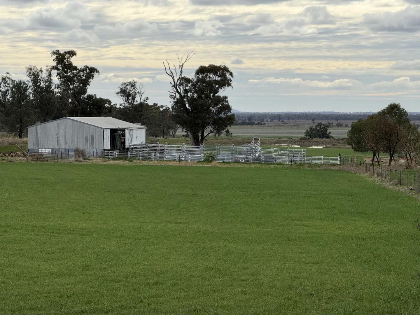 Additional image 35 of 877 Mount Tallabung Road, Forbes NSW 2871