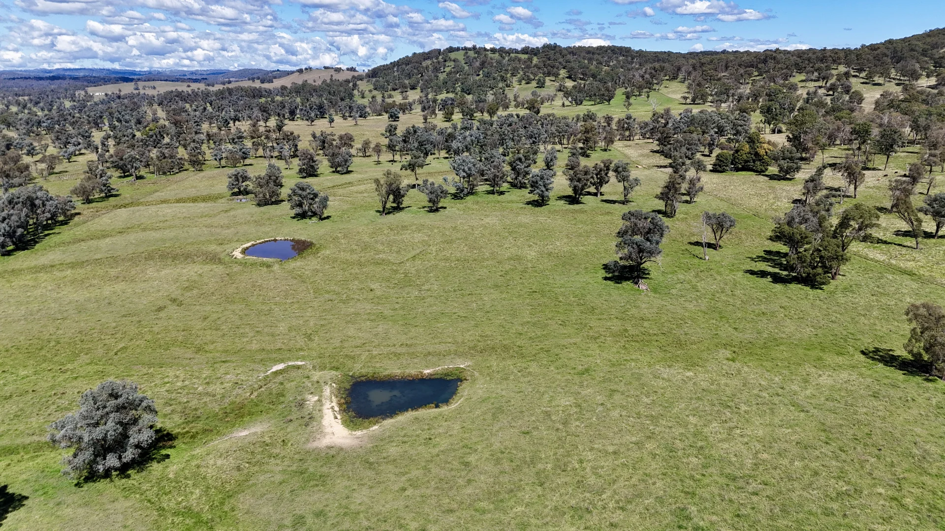 Additional image 5 of 3256 Niangala Rd, Walcha NSW 2354