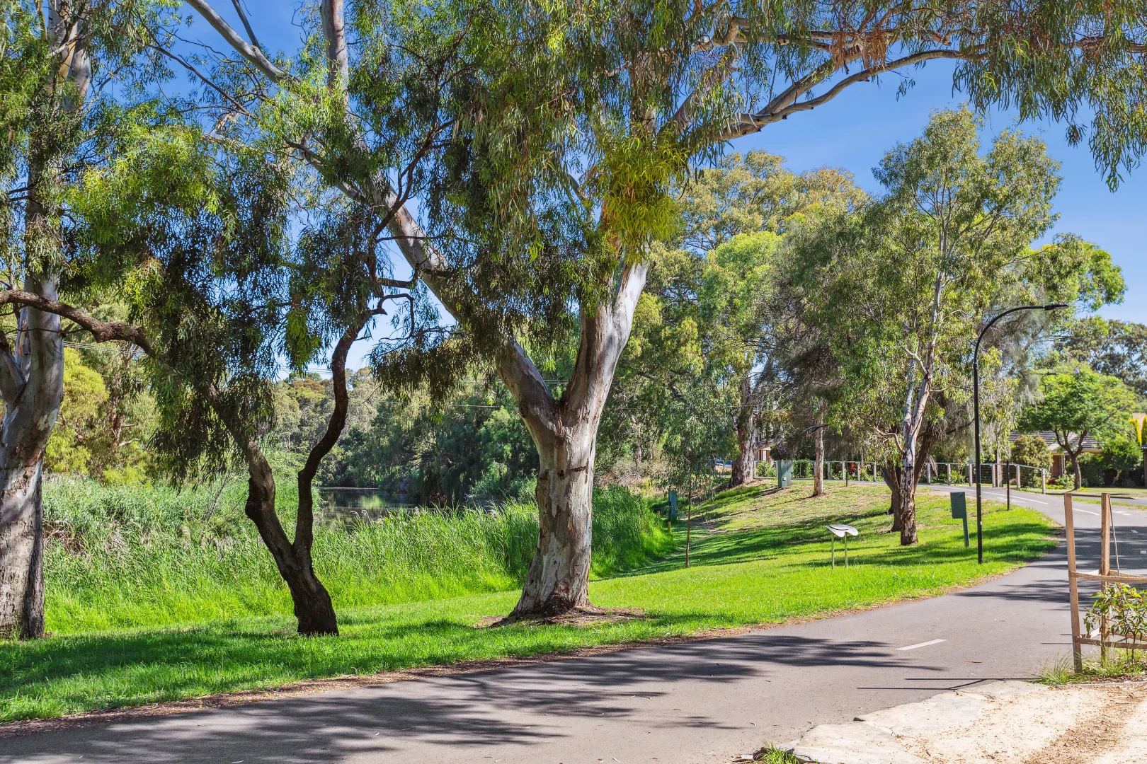 Additional image 2 of Lot 1 & 2 (Proposed)/41 Garden Terrace, Lockleys SA 5032