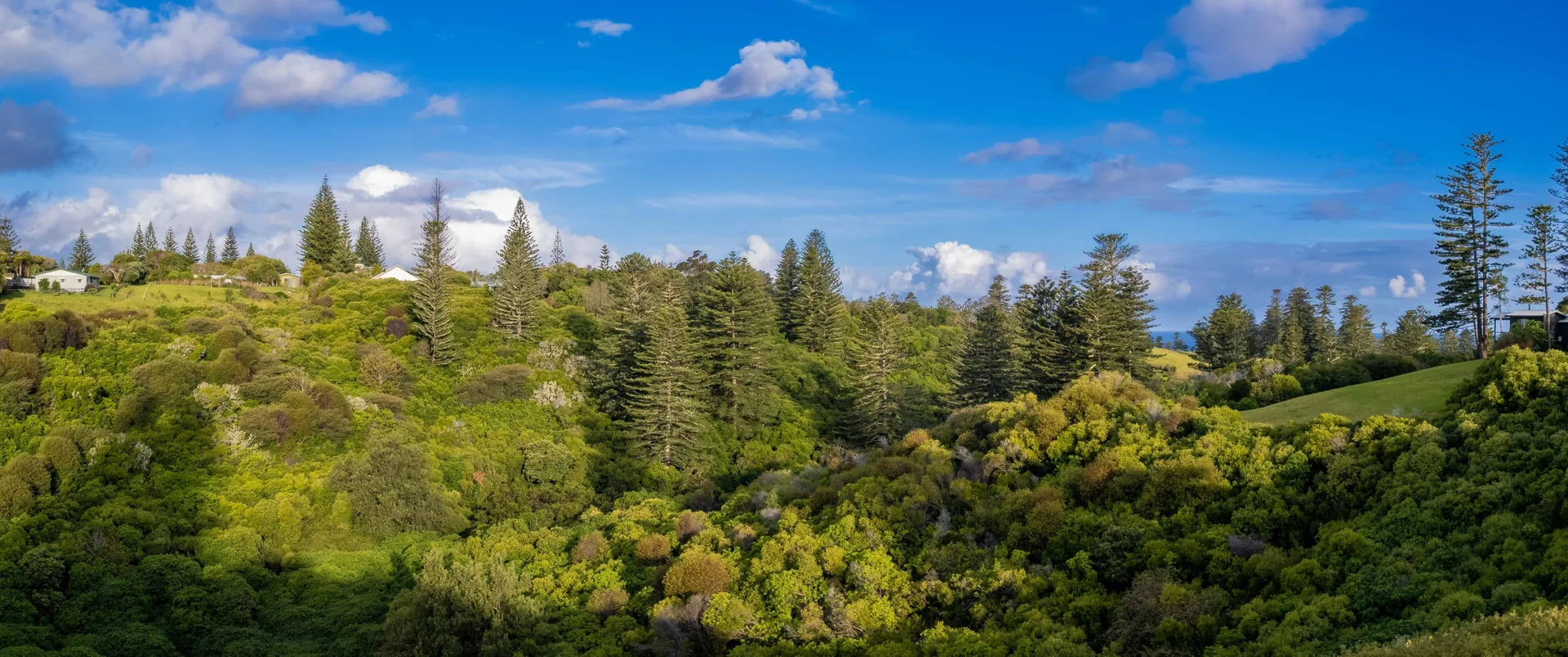 Additional image 6 of 77z4 Longridge Road, Norfolk Island NSW 2899