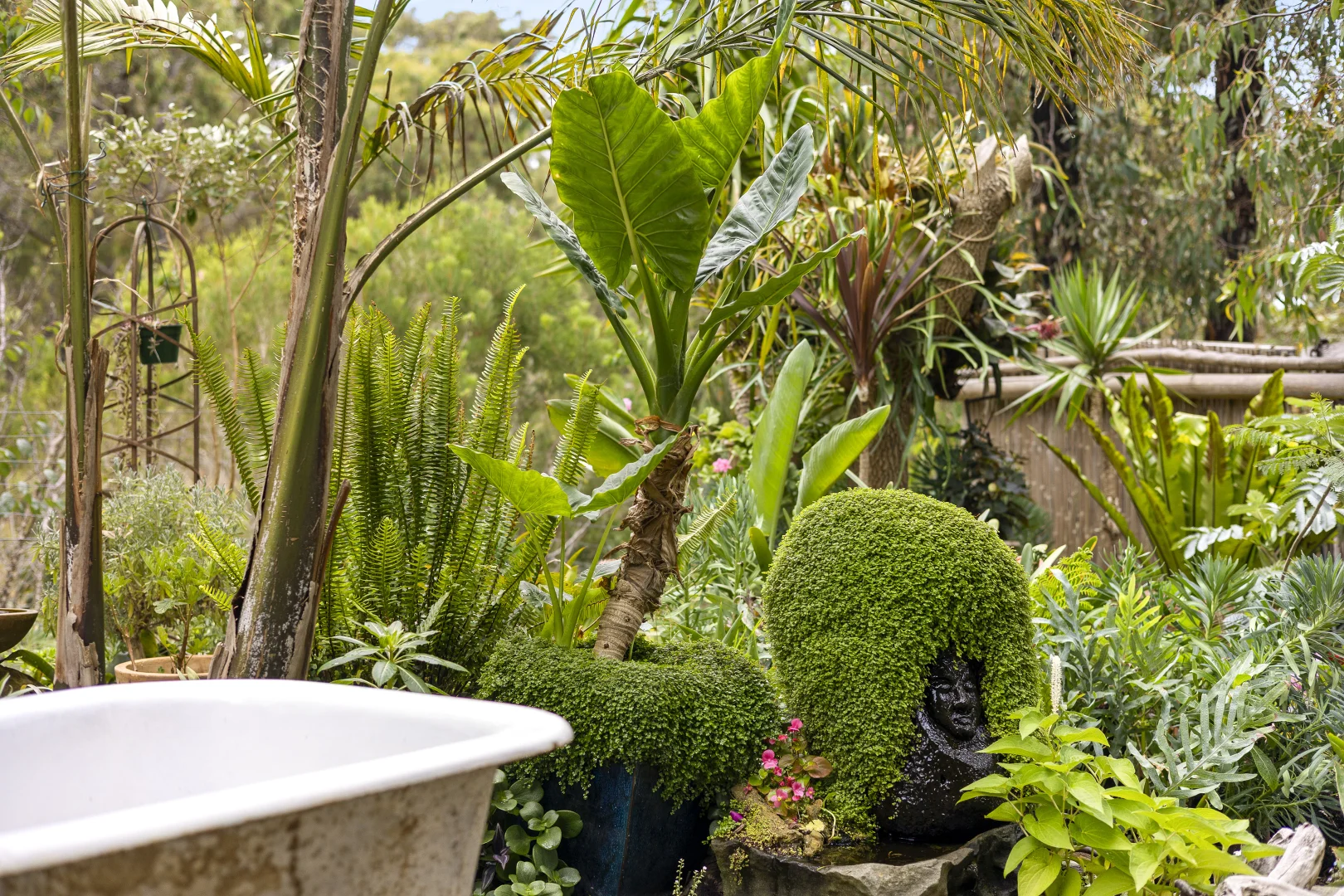 Additional image 14 of 17 Narani Way, Fairhaven VIC 3231