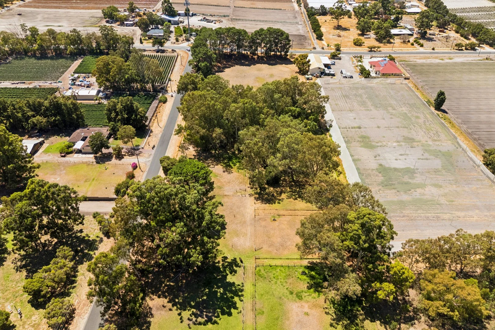 Additional image 5 of 21 Jambanis Road, Wanneroo WA 6065