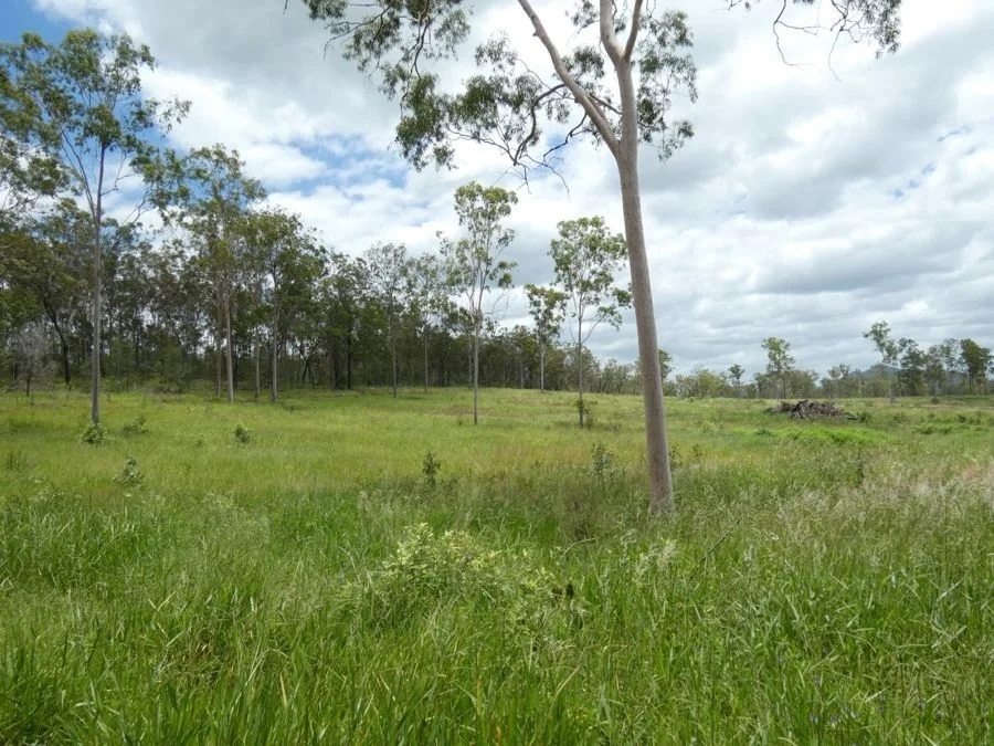 Additional image 25 of Lot 43 Moolyung Road, Waterloo QLD 4673
