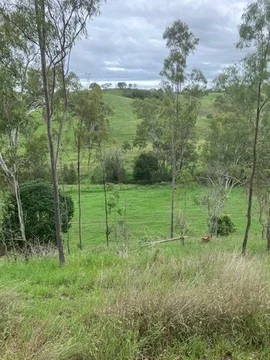 Additional image 29 of 142 PERRY RIVER FARMS RD, Morganville QLD 4671
