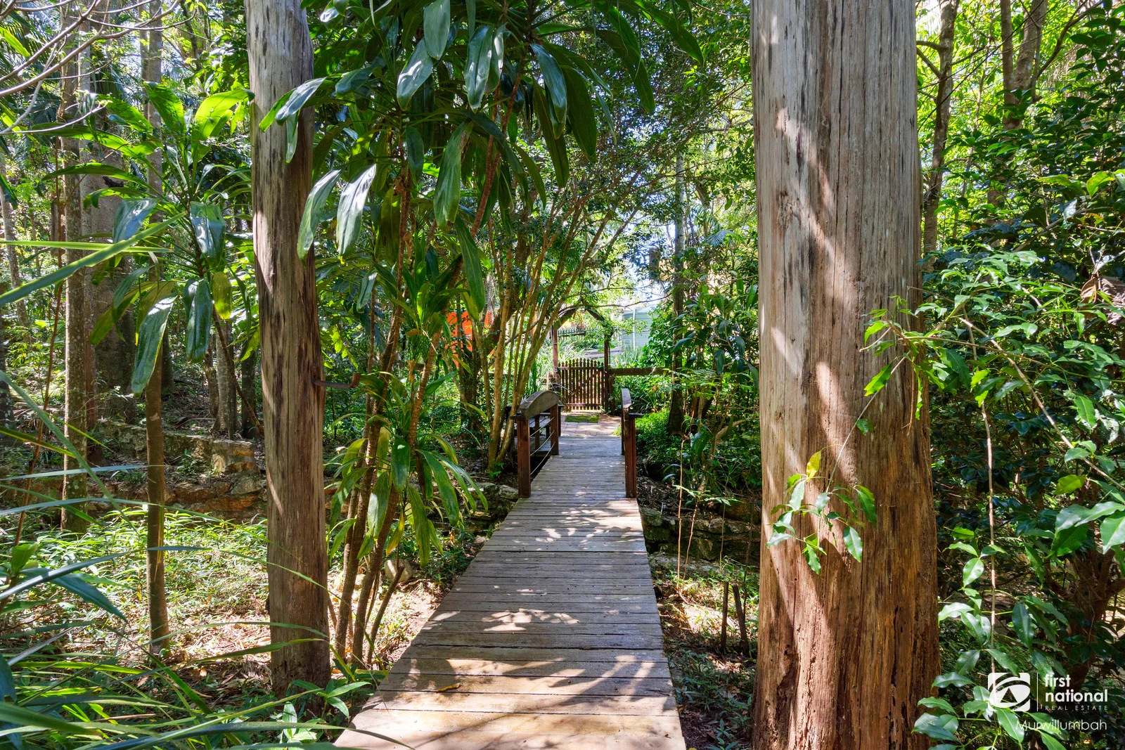 Additional image 10 of 1382 Numinbah Road, Chillingham NSW 2484