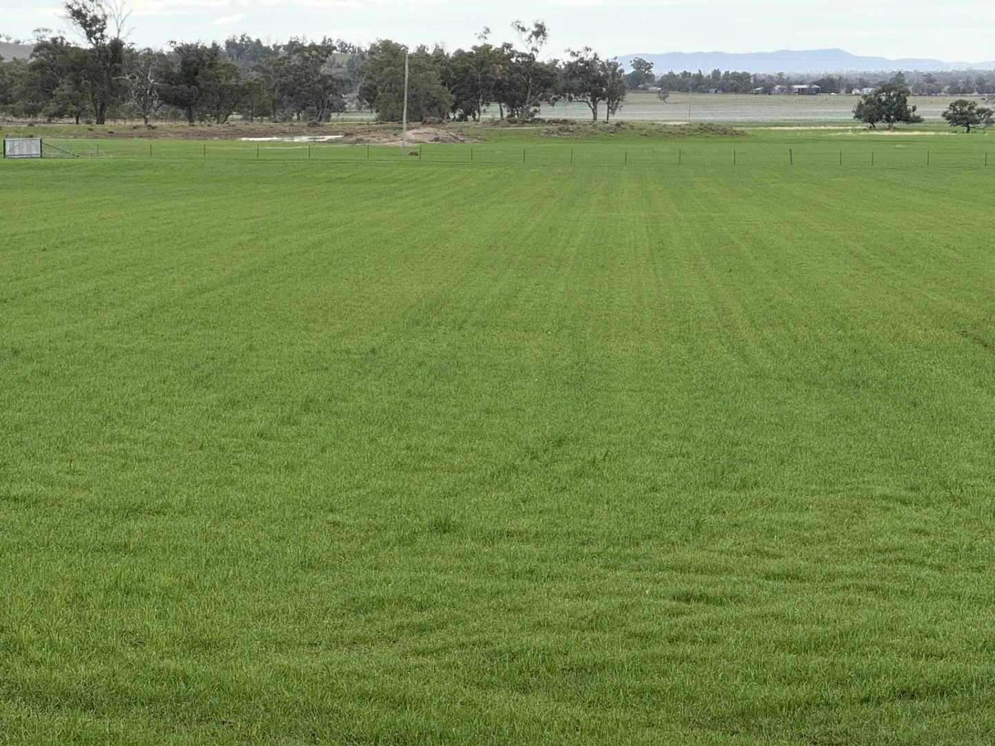 Additional image 36 of 877 Mount Tallabung Road, Forbes NSW 2871