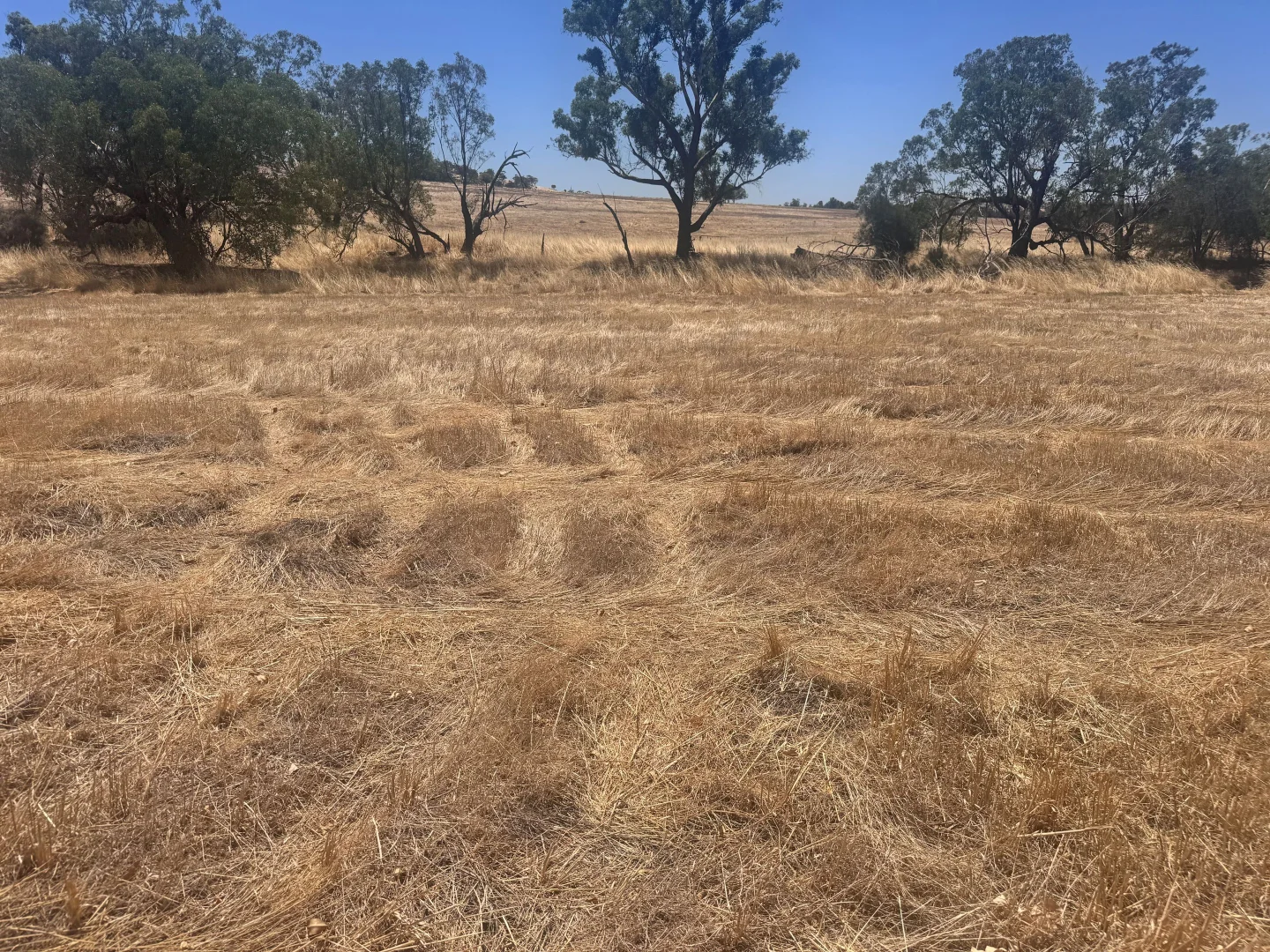 Additional image 2 of 4 Spencers Brook Road, Northam WA 6401