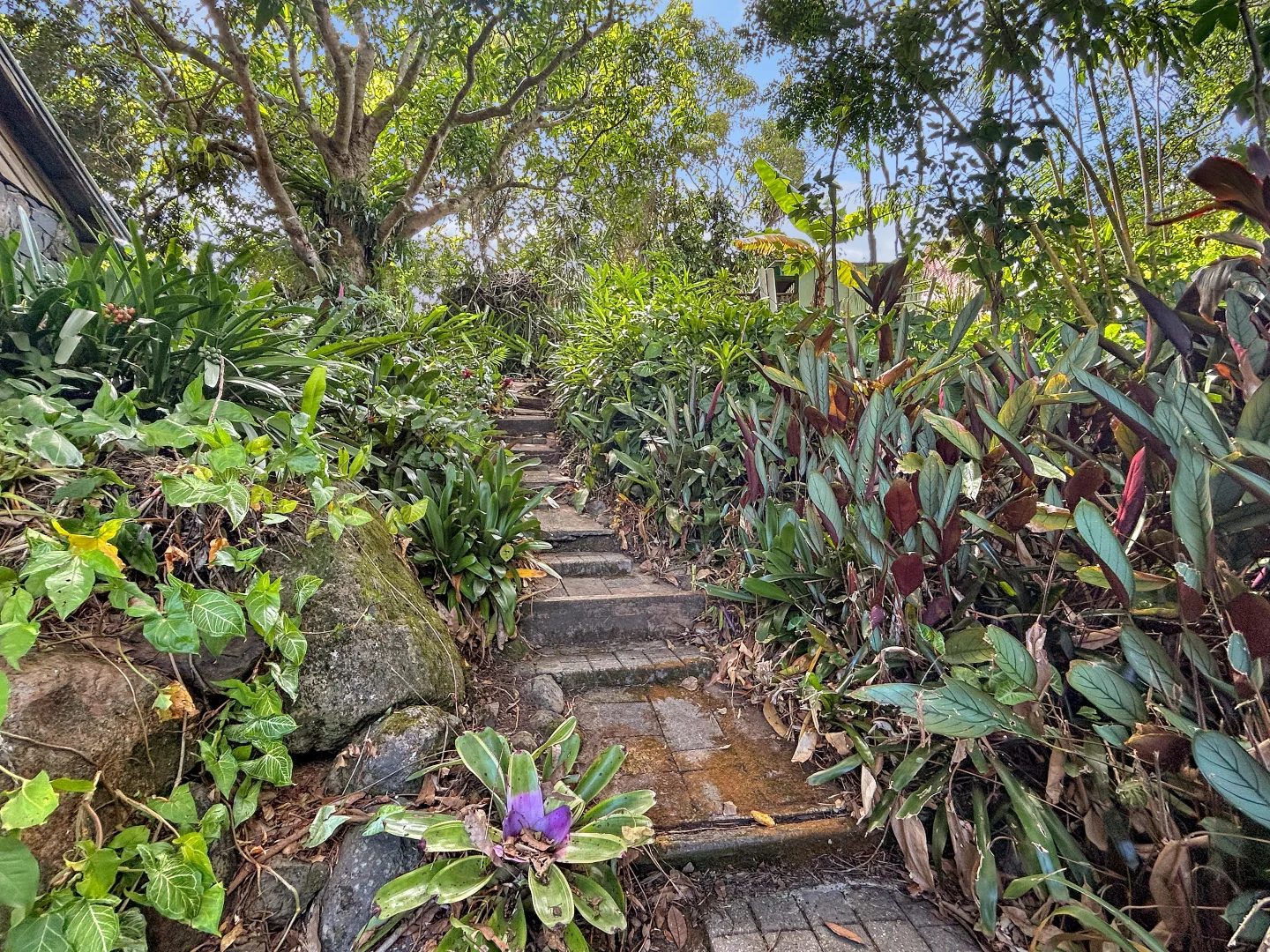 Additional image 22 of 31-33 Camelot Road, Goonellabah NSW 2480