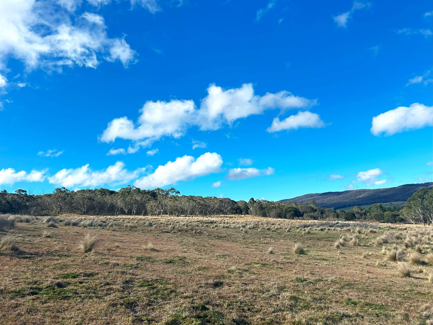 Additional image 20 of 11 & 128 Stoney Ridge Road, Braidwood NSW 2622