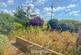 Additional image 32 of Blaenannerch, Cardigan, SA43
