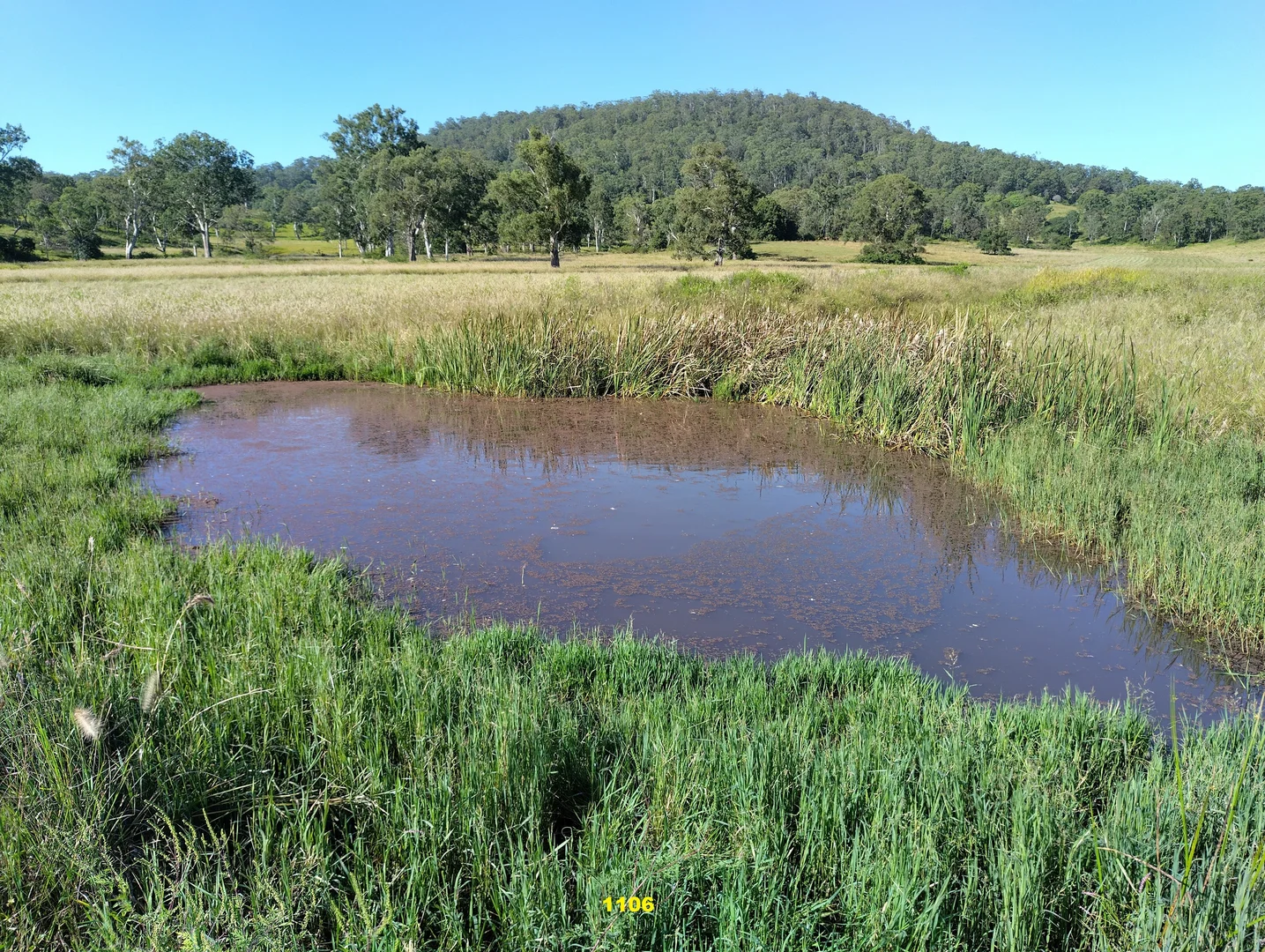 Additional image 25 of 1106 Naughtons Gap Road, Bentley NSW 2480