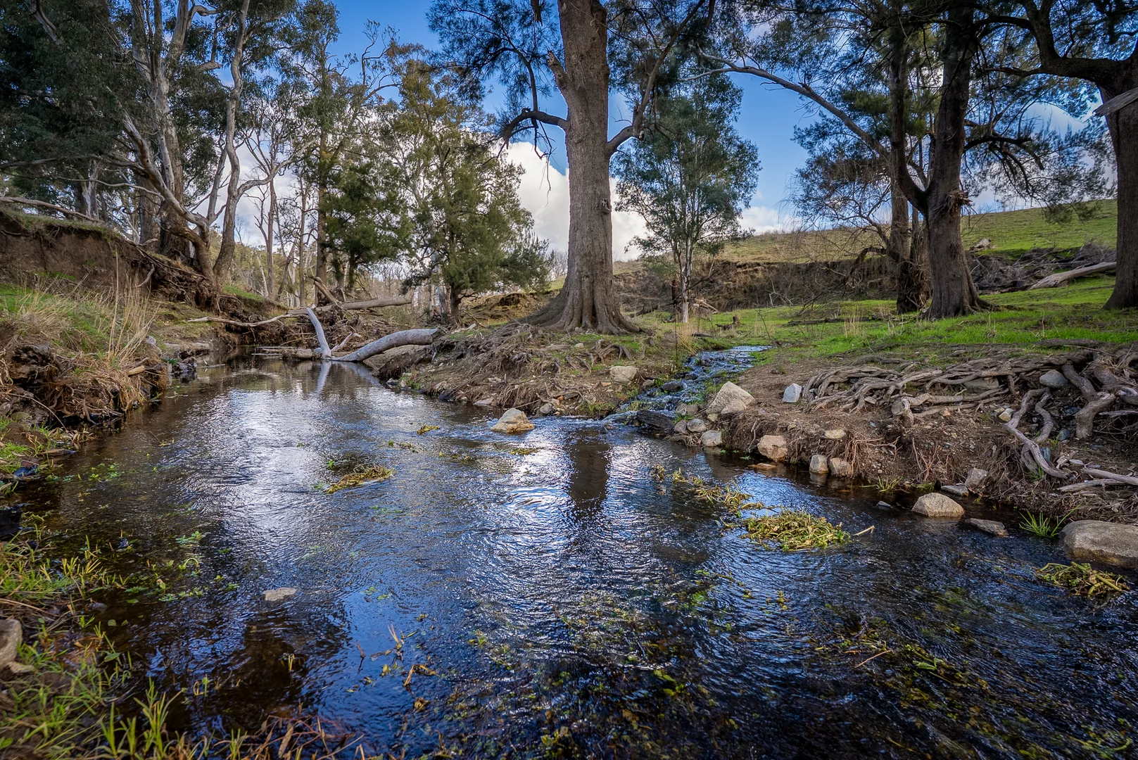 Additional image 20 of 1507 Pine Mount Road, Woodstock NSW 2793