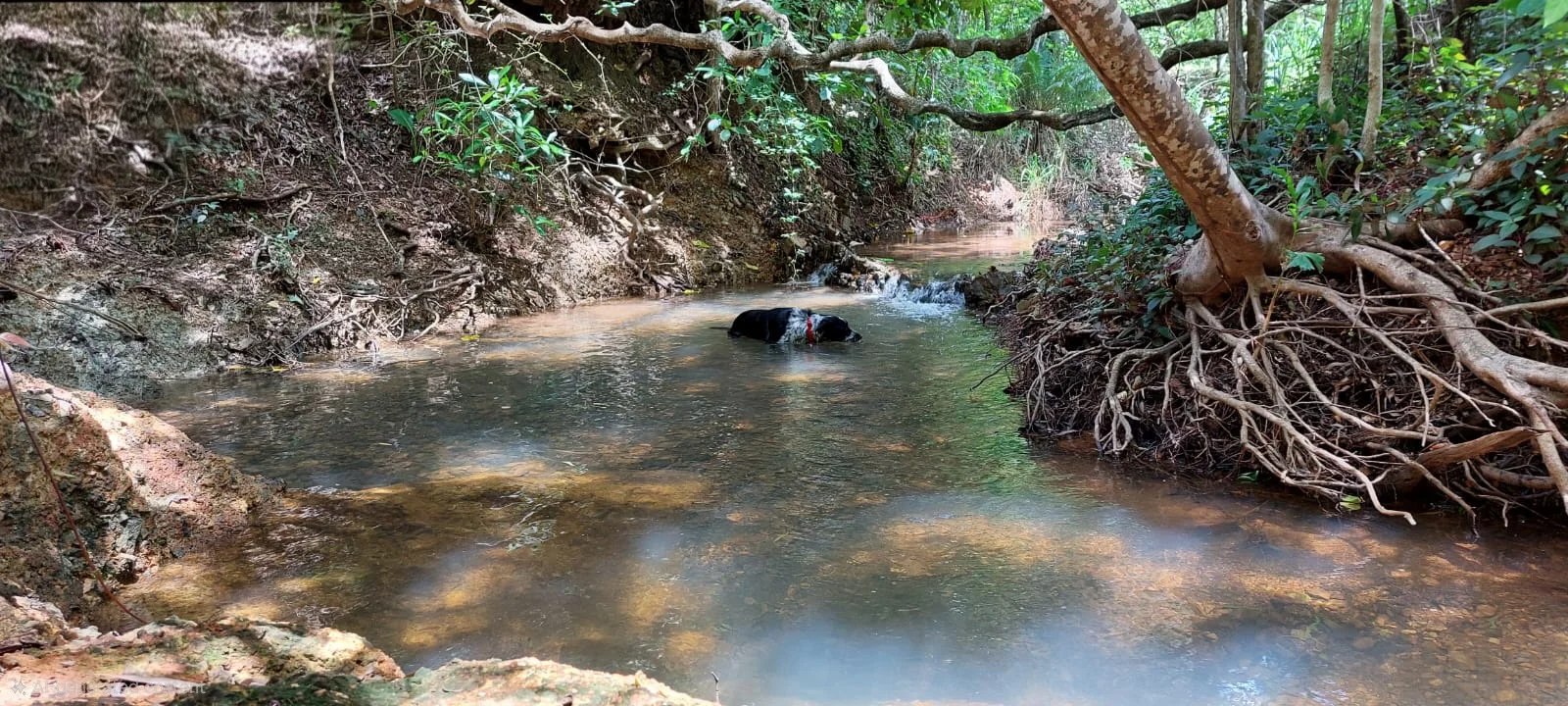 Additional image 34 of 51 Wilkinson Street, Cooktown QLD 4895