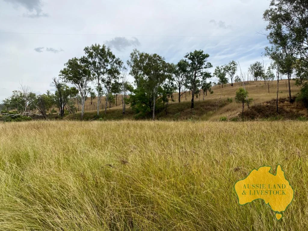 Additional image 81 of 2360 MONTO MOUNT PERRY ROAD, Yarrol QLD 4630